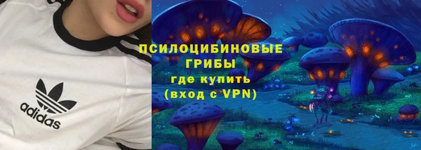 МДПВ Горно-Алтайск