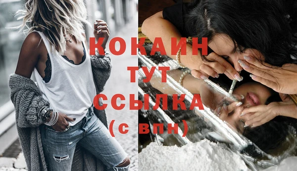 прущая мука Горняк