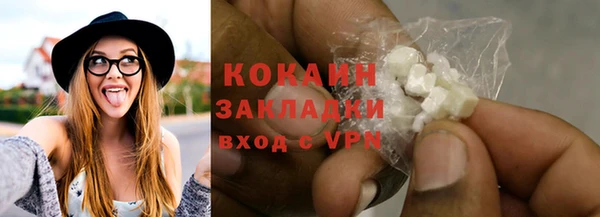 стафф Гусев