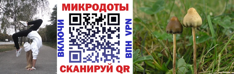 гидра ссылки Дзержинск Галлюциногенные грибы Magic Shrooms
